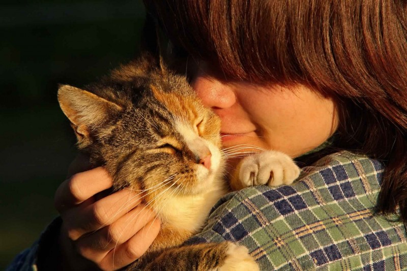 Gatinhos são carinhosos sim!