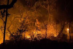 Autoridades sobrevoam áreas atingidas por incêndio na Chapada dos Veadeiros