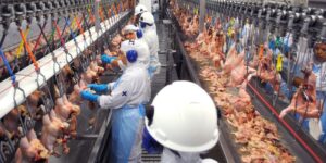 BRF dá férias coletivas para 2 mil trabalhadores em Rio Verde