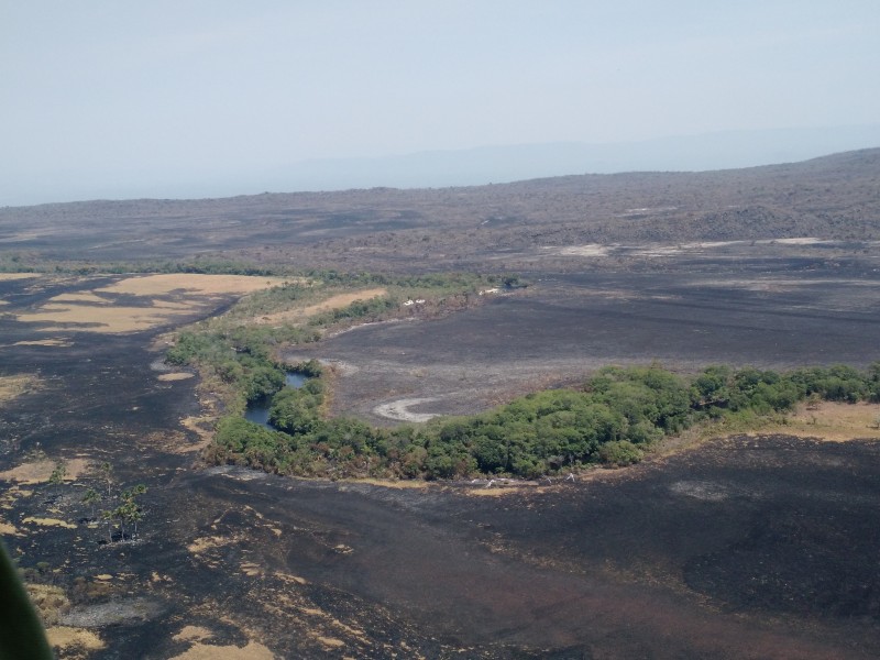 Fogo no Parque Nacional da Chapada dos Veadeiros está sob controle