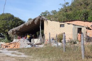 Quilombolas integram projeto pioneiro de produção de baunilha