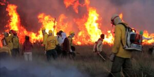 Projeto para arrecadação voluntária visa combate a incêndio no parque