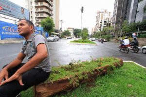 Árvores caídas viram bancos e vasos