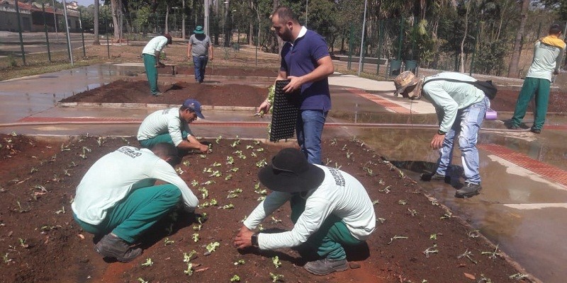 Horta comunitária chega ao Parque Linear Macambira