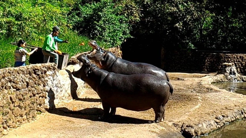 Projeto de Lei sugere maior clareza em arrecadação de parques da capital