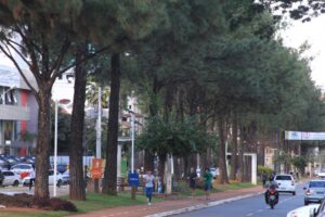 Alameda Ricardo Paranhos tornou-se ponto turístico