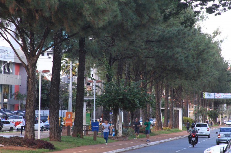 Alameda Ricardo Paranhos tornou-se ponto turístico