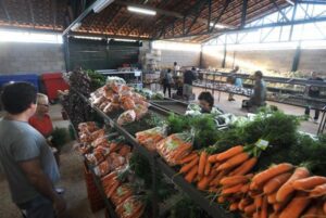 Preço da cebola cai e chuva e calor prejudicam produção de alface e cenoura