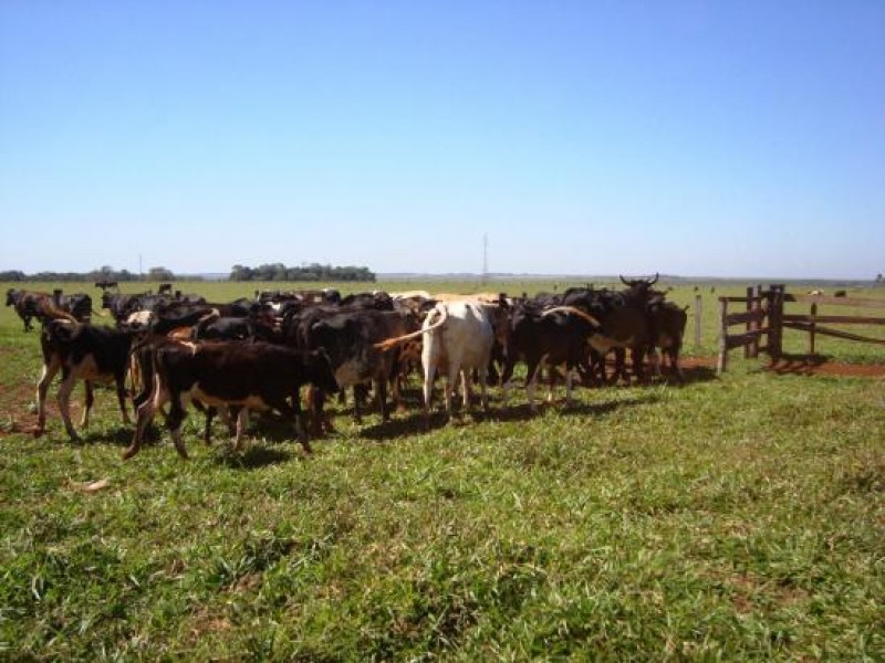 Agrodefesa alerta para prazo de cadastramento das propriedades rurais