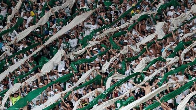 Palmeiras vence Chapecoense e é campeão da Série A