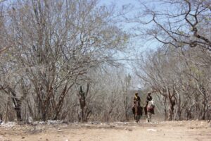 ONU premia iniciativas sustentáveis no Brasil