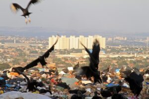 Aterro terá pólo de reciclagem