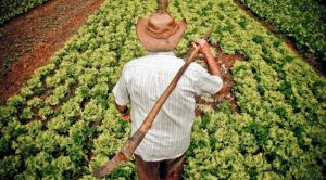 Agricultores familiares recebem equipamentos agrícolas nesta terça-feira