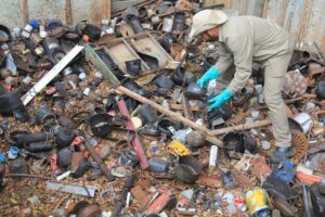 Aedes aegypti: multas já passam de 200 ocorrências