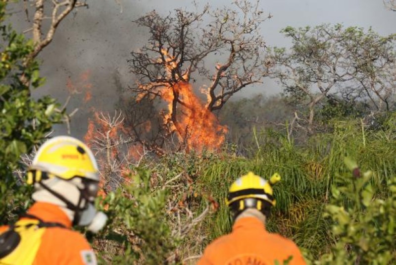 Parque Nacional de Brasília já teve 10% da área atingida pelo fogo