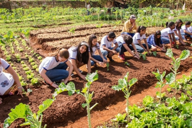 Projeto Horta Escolar leva conhecimento a estudantes