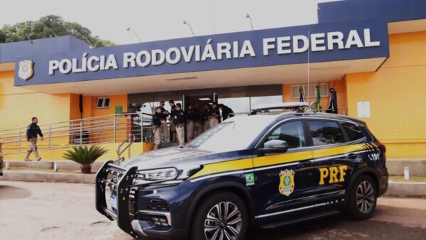 Crime ambiental é flagrado nas rodovias federais de Goiás