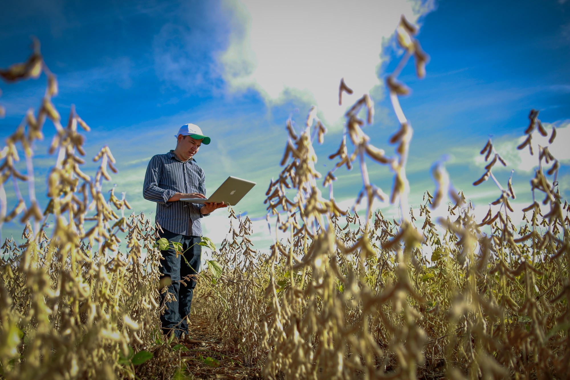 Vagas no agro para quem sao as melhores oportunidades de carreira em 2022