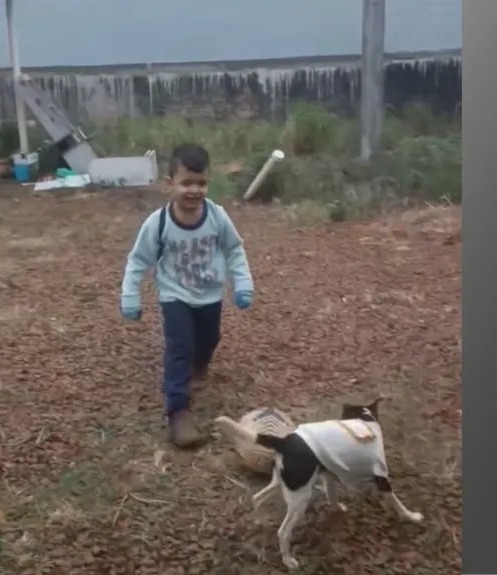 Joslan Perez, de 4 anos, brincando com cachorrinha de estimação | Foto: Reprodução/Redes sociais