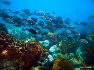 Búzios: praias mornas  e areias brilhantes