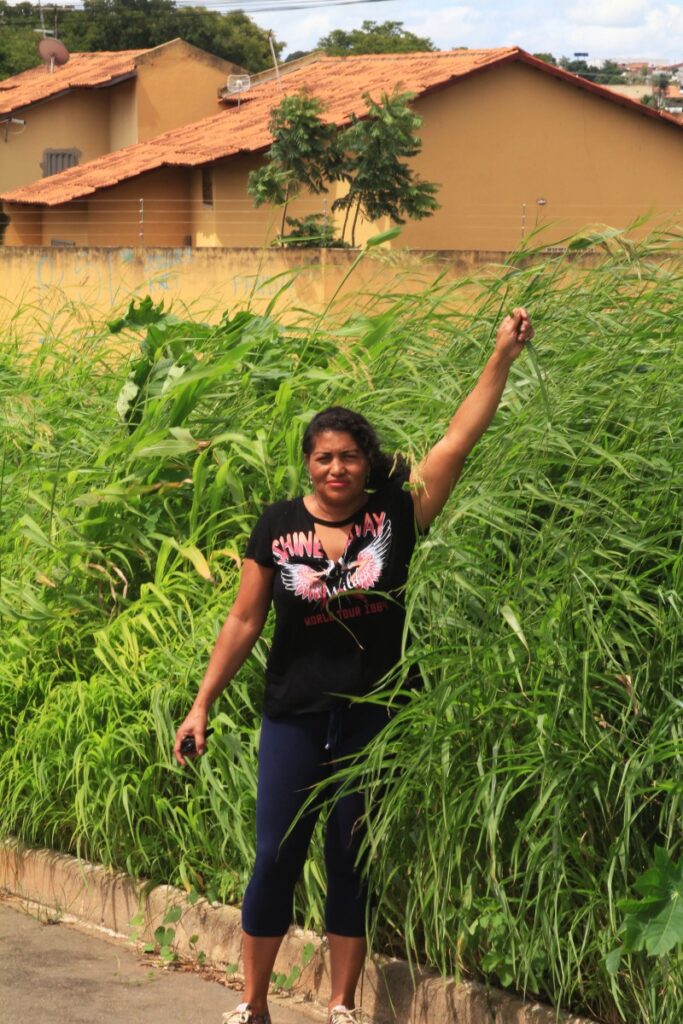 Aparecida está tomada por matagal