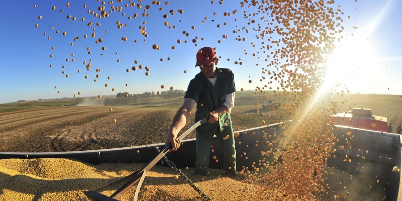 Crédito agrícola terá R$ 103 bilhões disponíveis