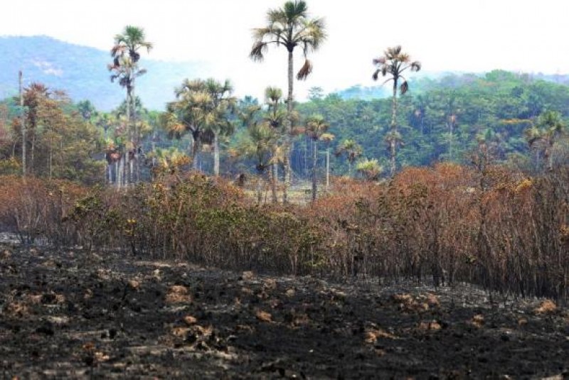 Após incêndio na Chapada