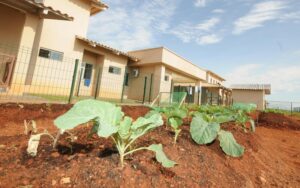 Horta auxilia no tratamento de dependentes químicos