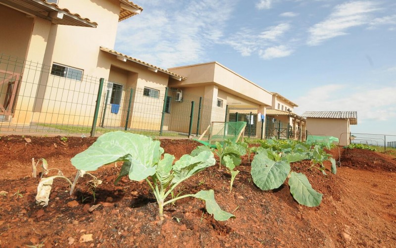 Horta auxilia no tratamento de dependentes químicos