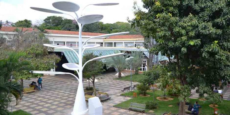 Instituições de ensino ganham instalação de árvores solares