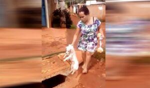 Mulher joga cachorro dentro de bueiro em Novo Gama