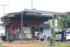 70% dos pit dogs de Goiânia são irregulares e Paço inicia remoções