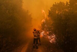 ONU prevê novas ondas de calor e temperaturas recordes em 2017