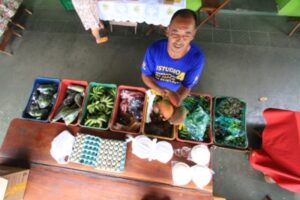 Produtos orgânicos tomam conta de Goiânia