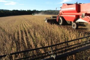 Balança comercial de Goiás registra crescimento