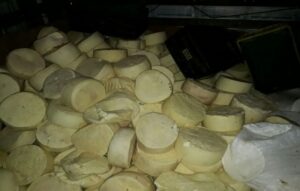 Polícia apreende 2 toneladas de queijo estragado em Anápolis