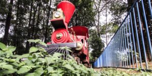 Férias serão sem o Mutirama e data de reabertura é adiada