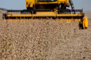 Agropecuária é responsável por 69% das emissões de gases