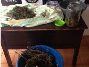 Polícia Civil prende 14 suspeitos de tráfico em Itaberaí