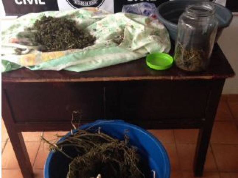 Polícia Civil prende 14 suspeitos de tráfico em Itaberaí