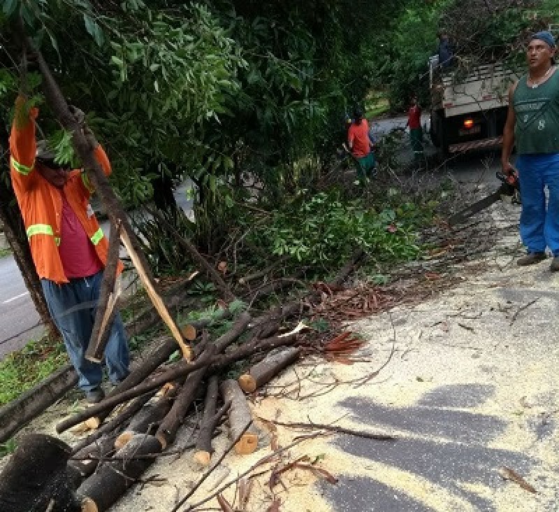 Ações de limpeza são intensificadas após estragos causados pelas chuvas