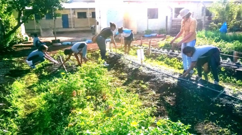 Horta escolar estimula mudança de hábitos alimentares na rede estadual