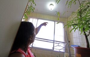 Bióloga cria pássaros soltos em apartamento