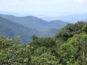 174 milhões de hectares de mata estão em áreas privadas