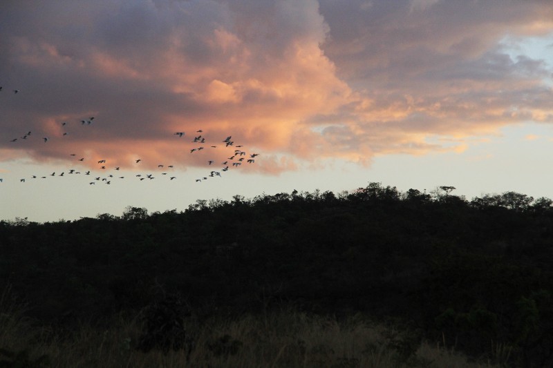 Cumprimento do plano de preservação da Serra das Areias está em atraso