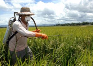 Saúde elabora Plano para proteção do trabalhador rural