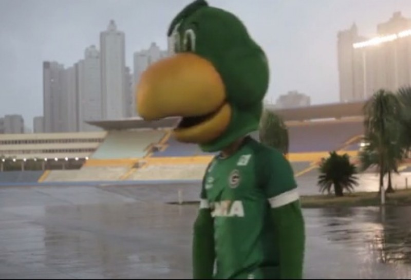 Goiás anuncia aposentadoria de mascote e presta homenagem ao Periquito