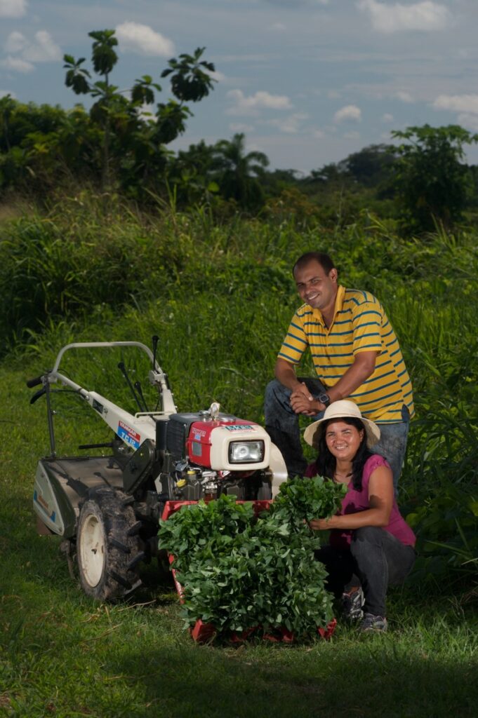 ONU discute políticas para agricultura familiar