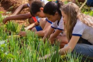 Educação ambiental alcança 34