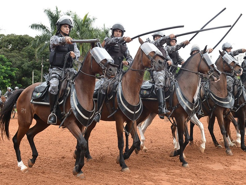 Cavalaria ajuda na segurança